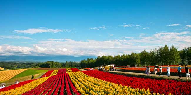 hokkaido