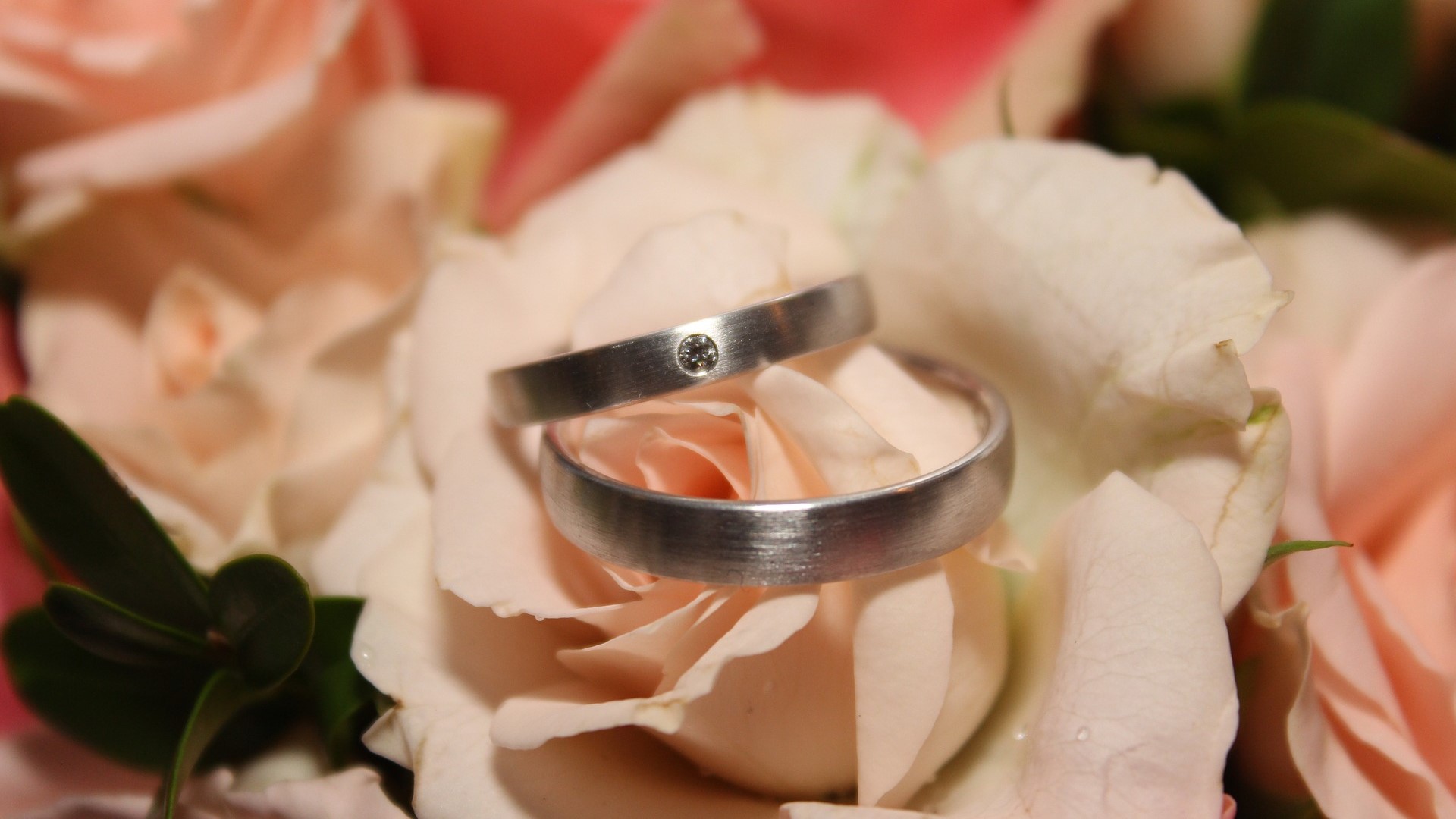 結婚指輪 婚約指輪